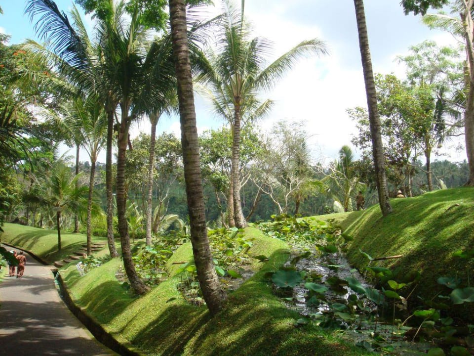 Garten COMO Shambhala Estate