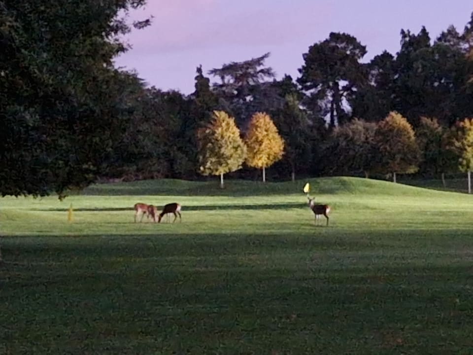 Gartenanlage Carton House Hotel