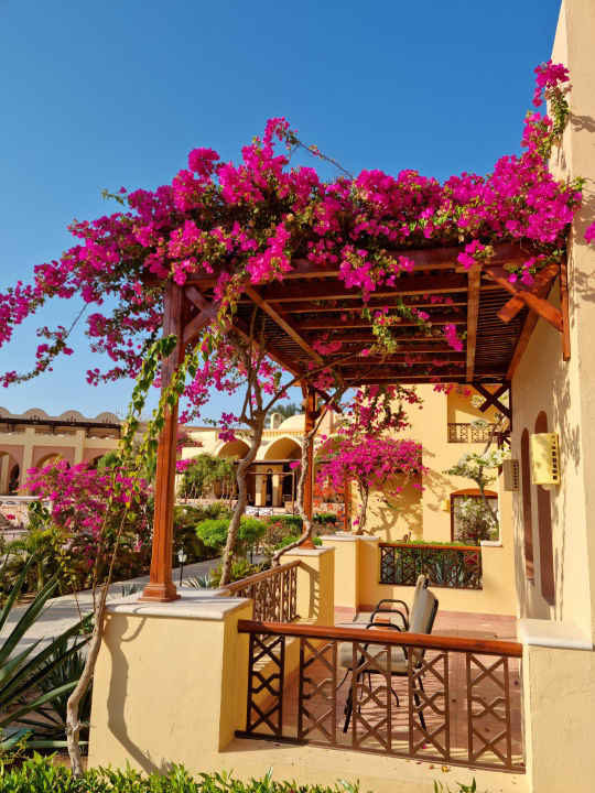 Ausblick Steigenberger Coraya Beach - Adults only