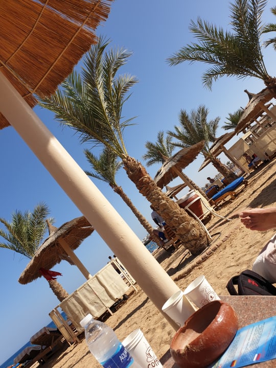 Strand Pickalbatros Aqua Vista Resort - Hurghada