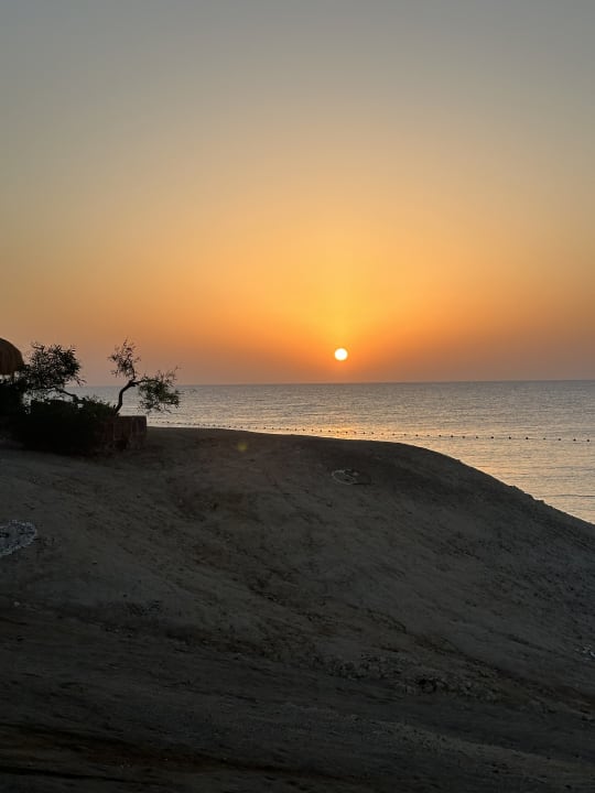 Ausblick Steigenberger Coraya Beach - Adults only