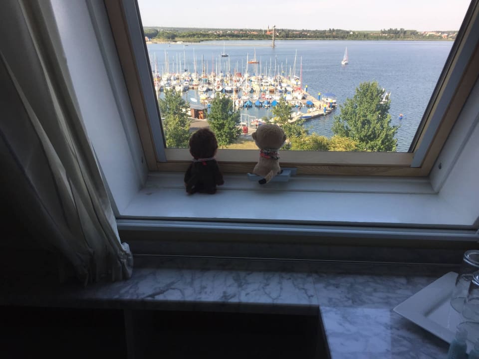 Ausblick auf den See Apartments Villa am Bernsteinsee