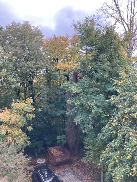 Ausblick Best Western Hotel Windorf