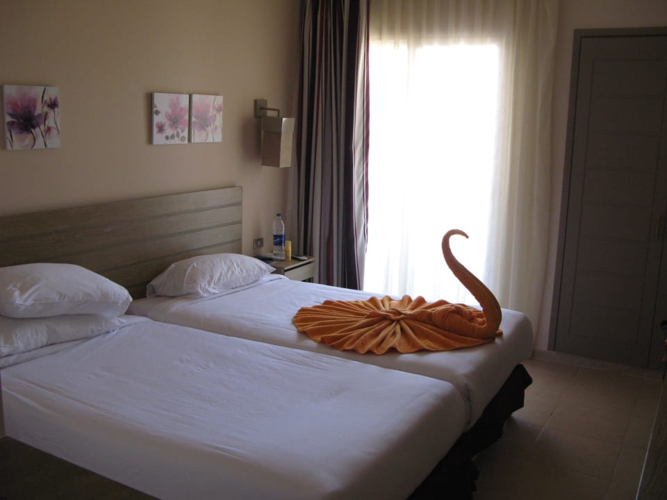 После уборки Lemon & Soul Makadi Garden