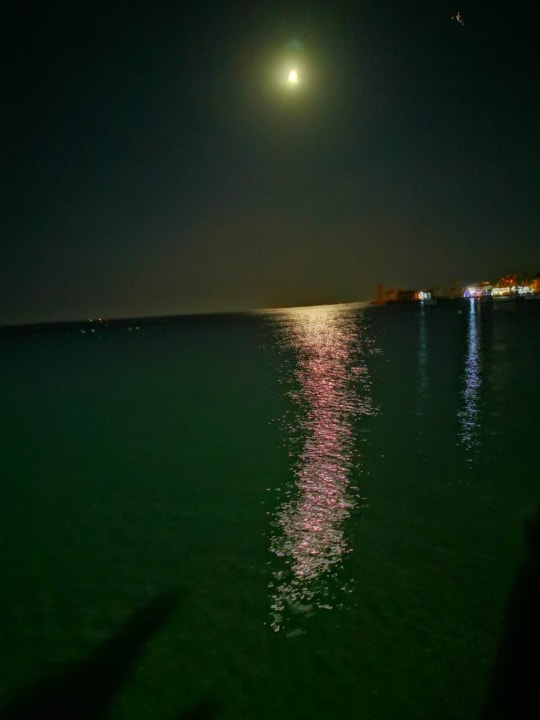 Sonstiges Steigenberger Aqua Magic