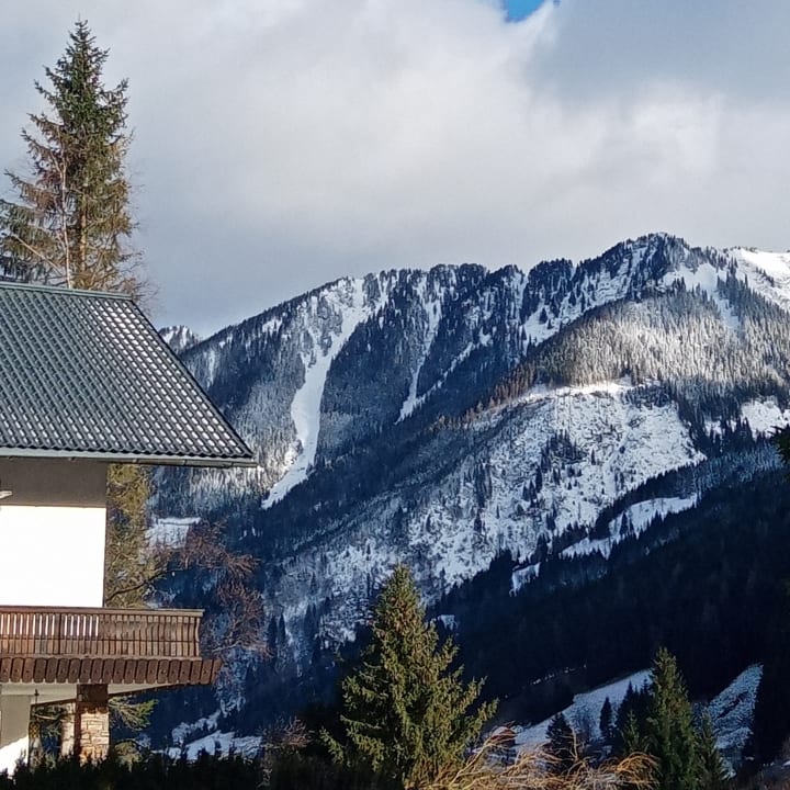 Ausblick Kinderhotel Stegerhof