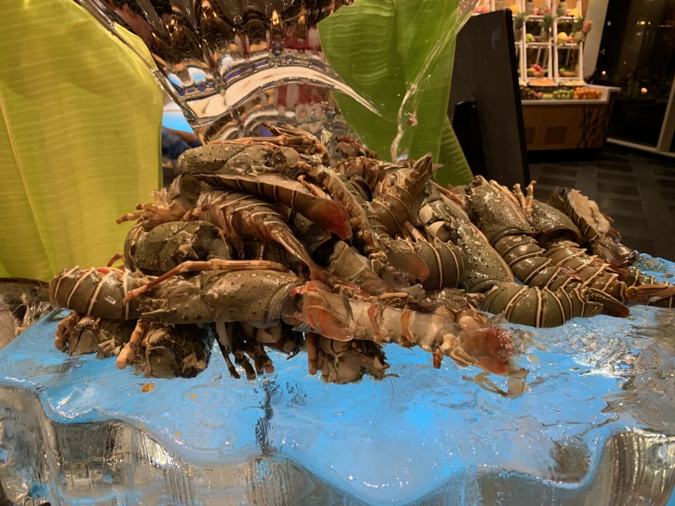 Gastro Rixos The Palm Hotel & Suites