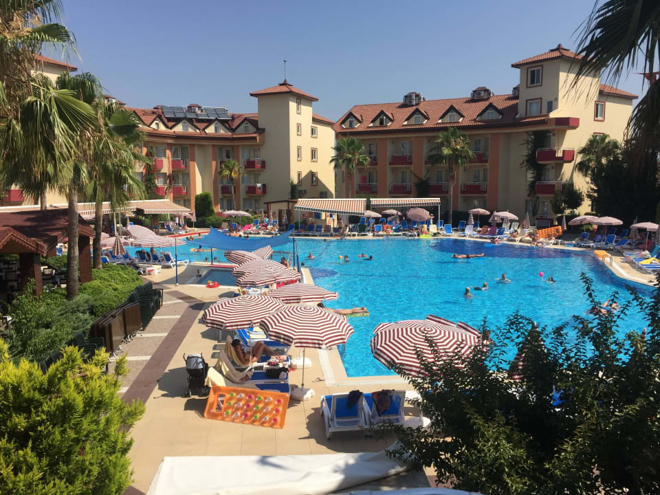 Ausblick vom Zimmer  Hotel Orfeus Park