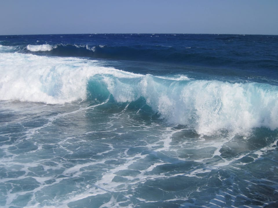 Czyste morze Three Corners Sea Beach Resort