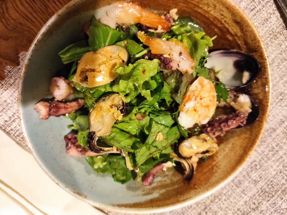 Gastro Acanthus Cennet Barut Collection