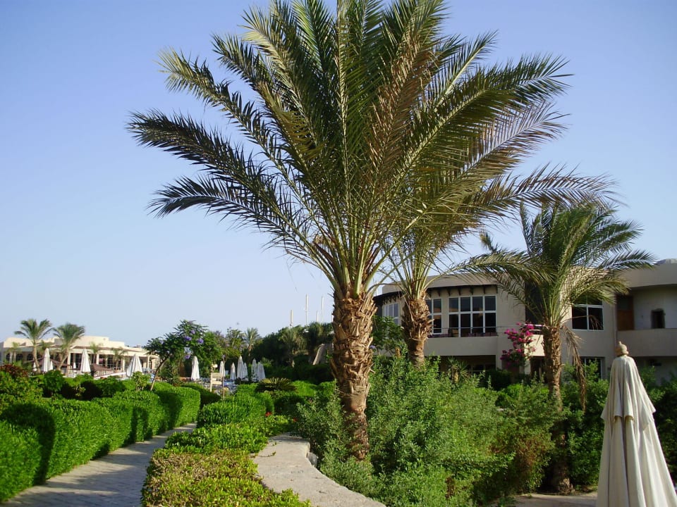 Irgendwo in der Anlage Prima Life Makadi Resort