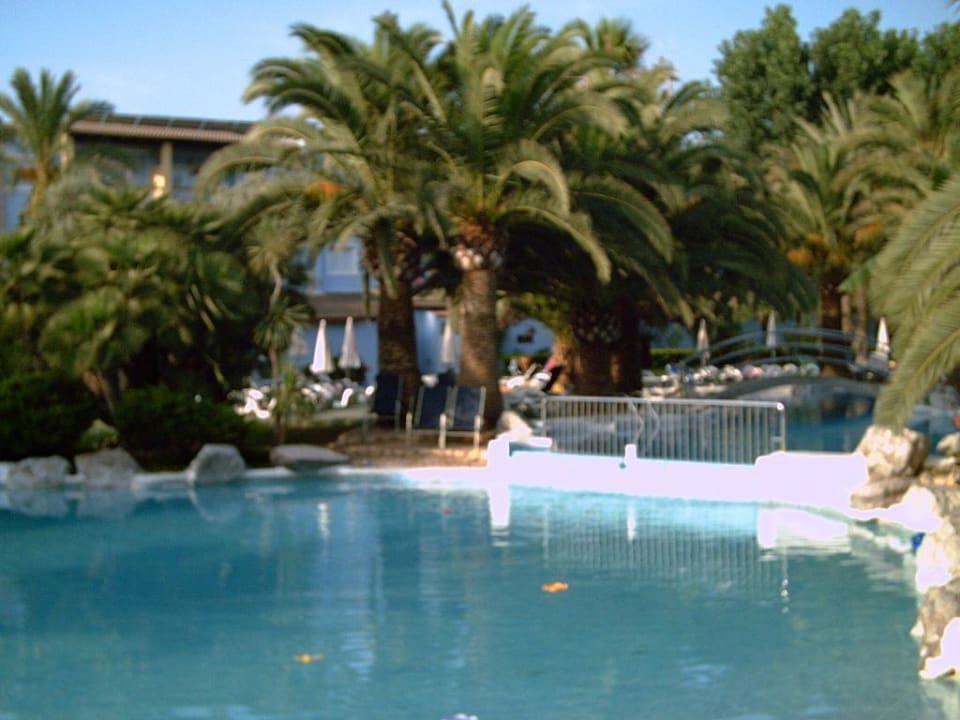pool Alcudia Garden Aparthotel