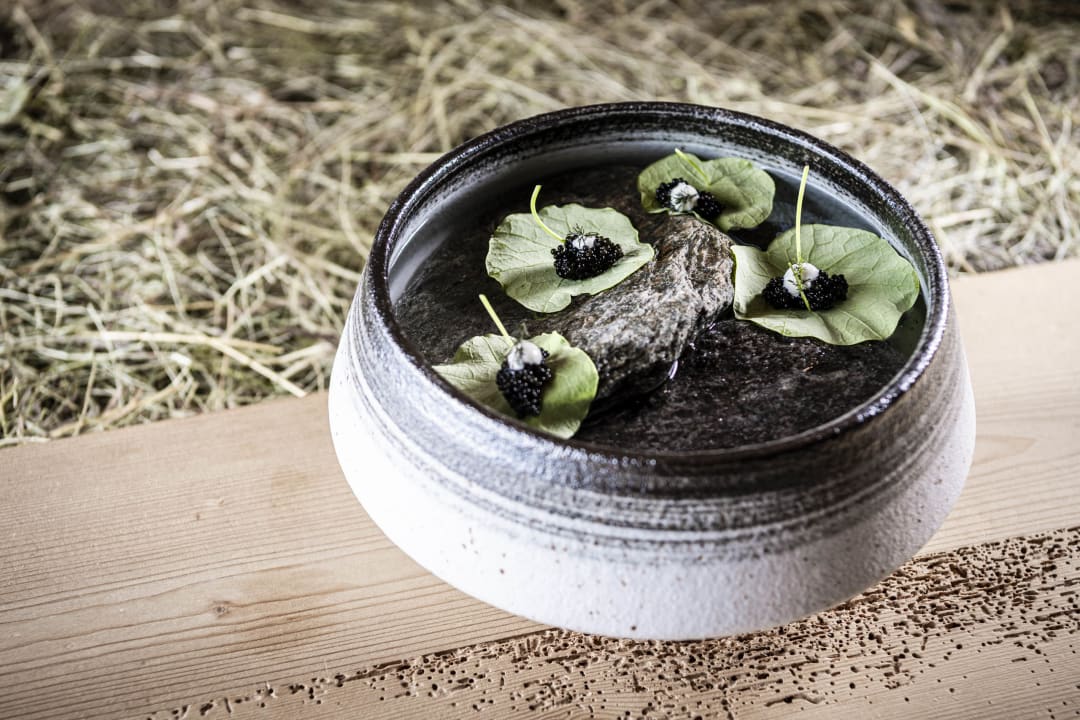 Gastro STROBLHOF Active Family SPA Resort