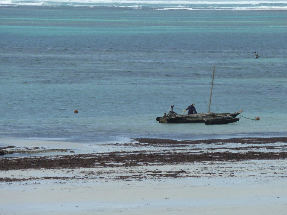 Blick zum Strand Baobab Beach Resort & Spa