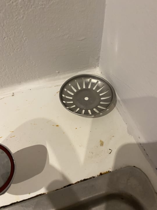 Zimmer Butterfly Hotel