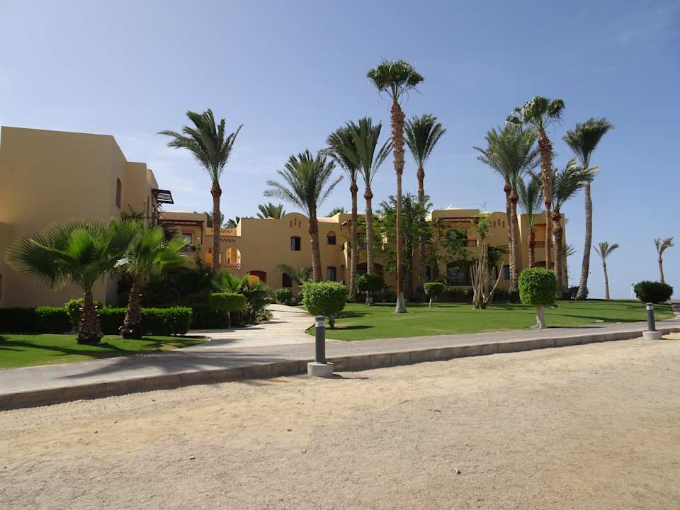 Gartenanlage Steigenberger Coraya Beach - Adults only