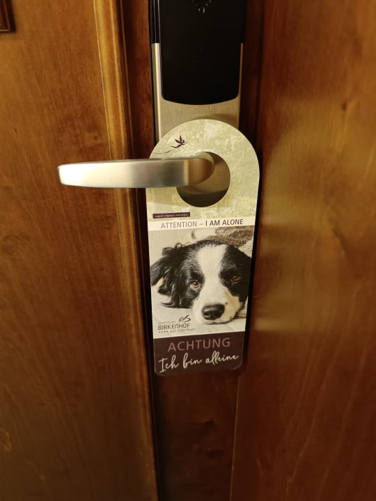 Sonstiges Spirit & SPA Hotel Birkenhof am Elfenhain