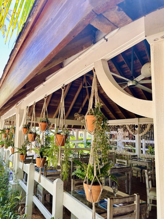 Gartenanlage Viva V Samana by Wyndham – Adults Only