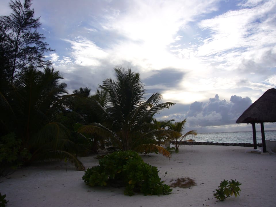 Strand Summer Island Maldives