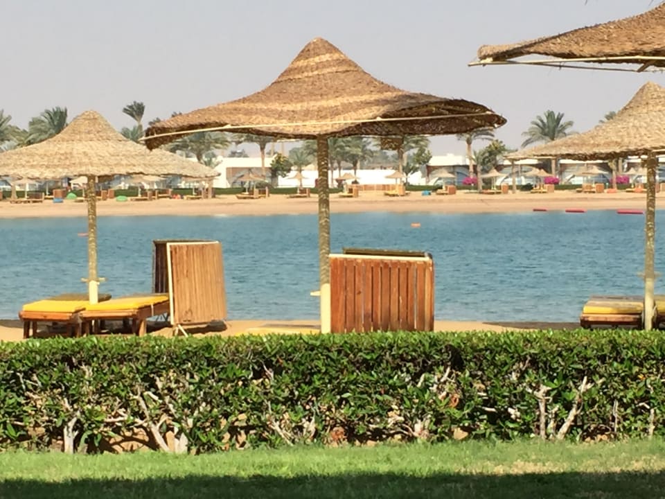 Außenansicht Desert Rose