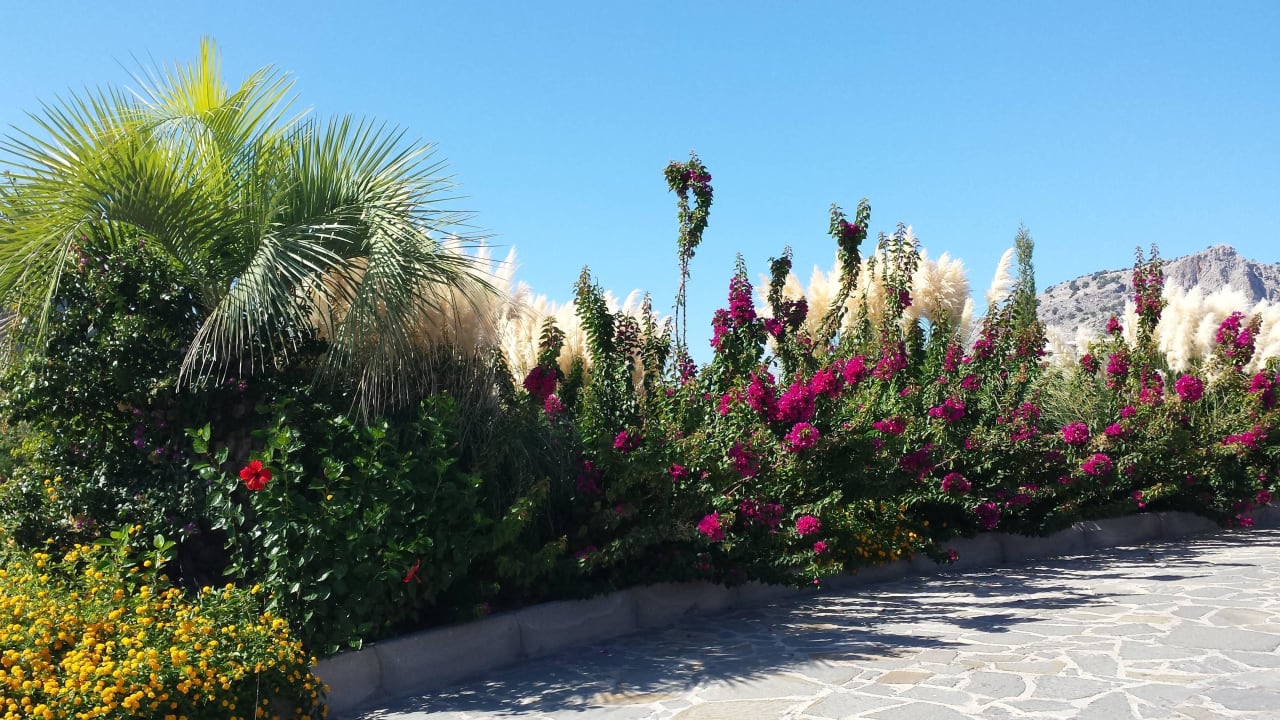 Alles blüht im Oktober Aquagrand Artistic Luxury Beach Resort - Adults only