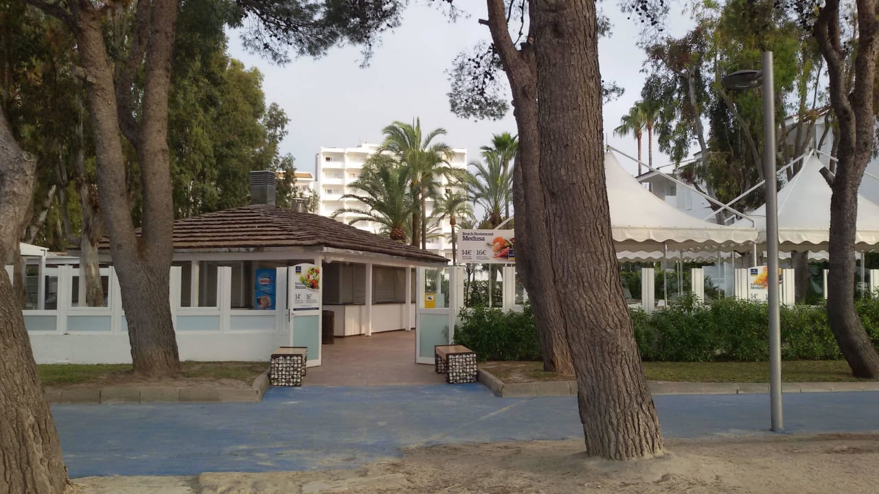 Ausblick vom Strand auf das Hotel Iberostar Waves Ciudad Blanca