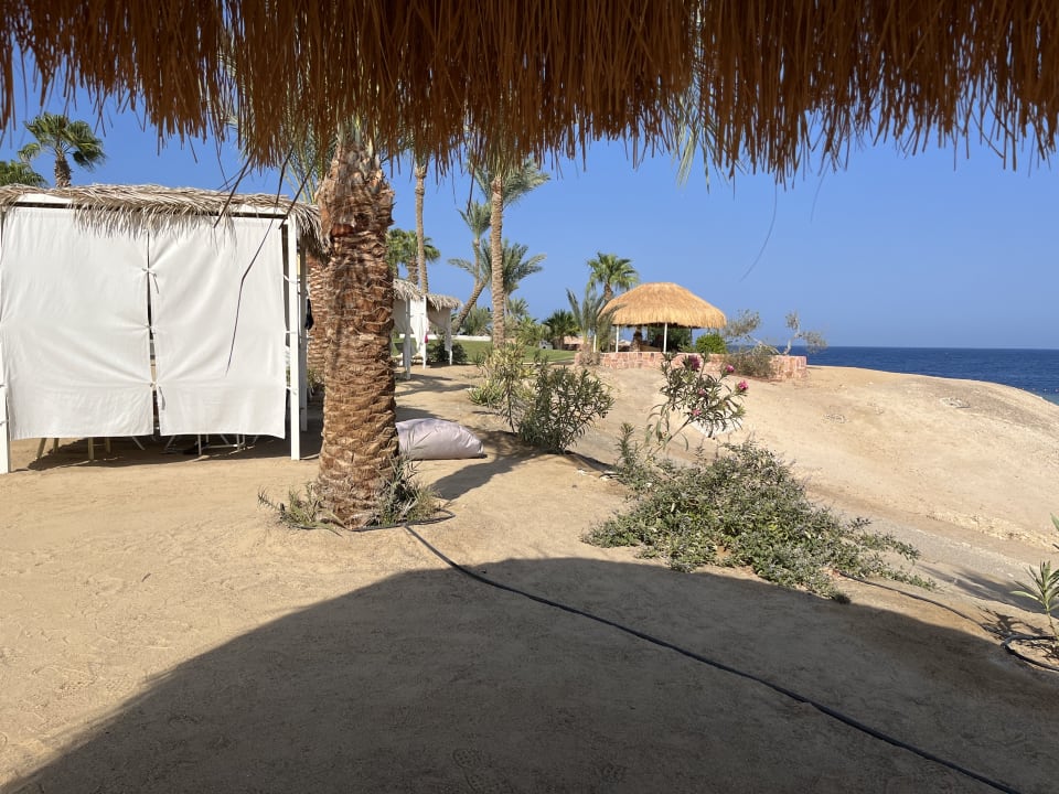 Strand Steigenberger Coraya Beach - Adults only