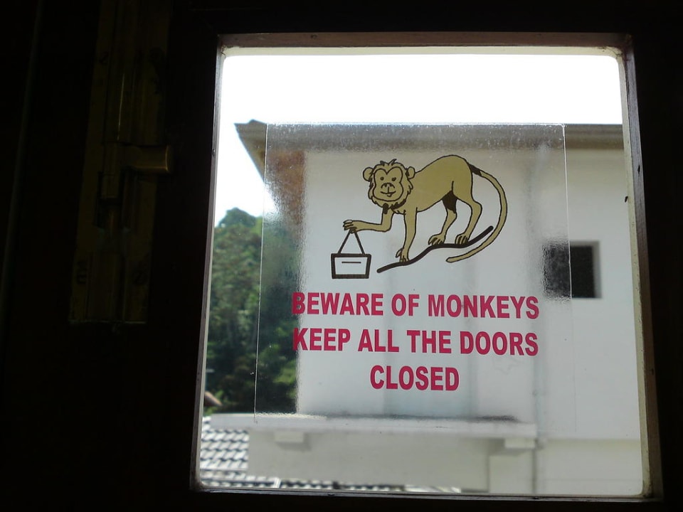 Achtung Affen! Oak Ray Serene Garden Hotel