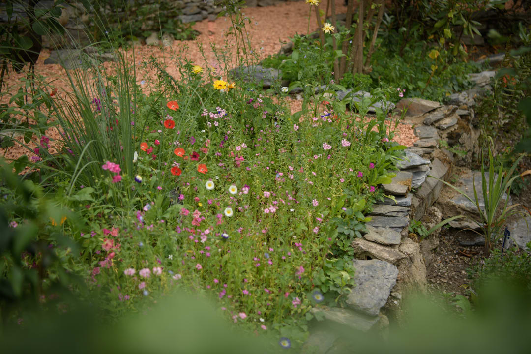 Gartenanlage Boutique-Hotel Jungenwald