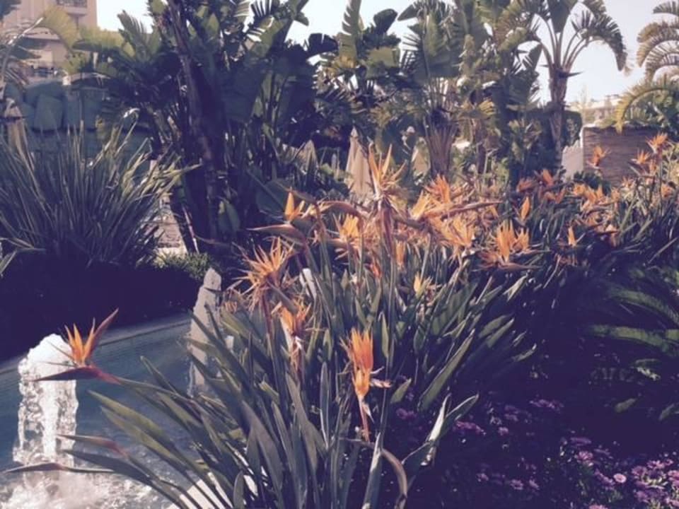 Sehr gepflegt Hotel Delphin Imperial