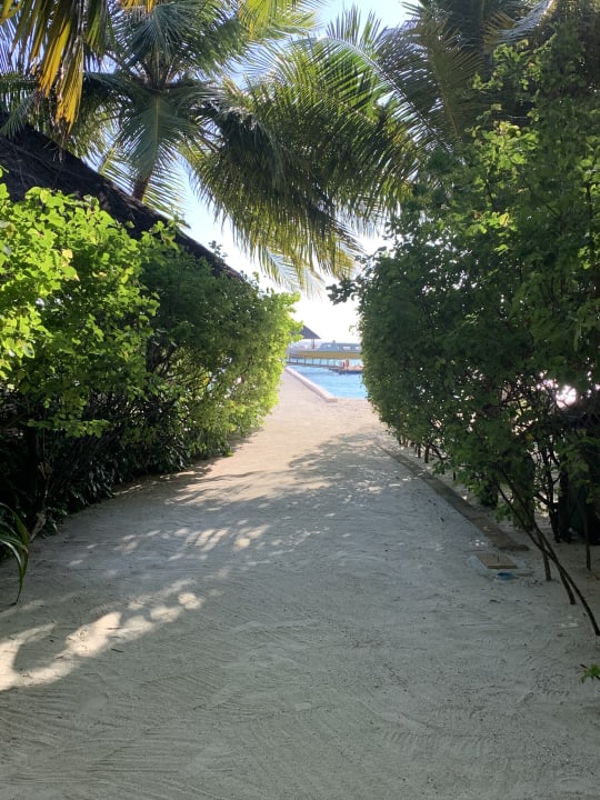 Gartenanlage Summer Island Maldives