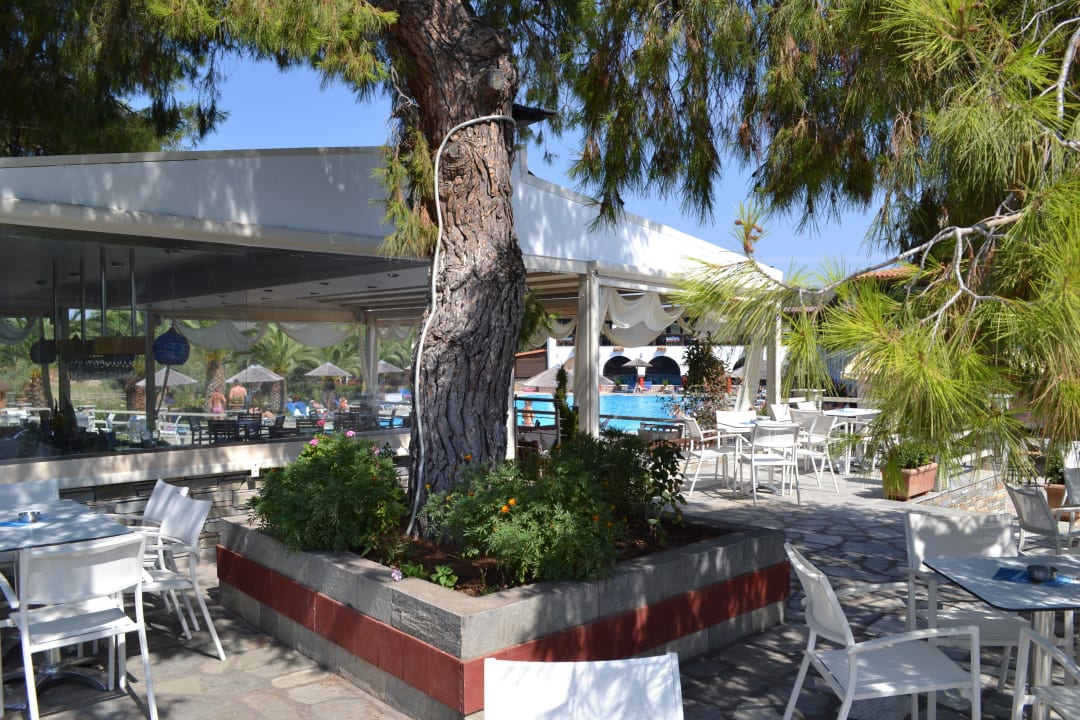 Poolbar Blue Dolphin Resort Hotel