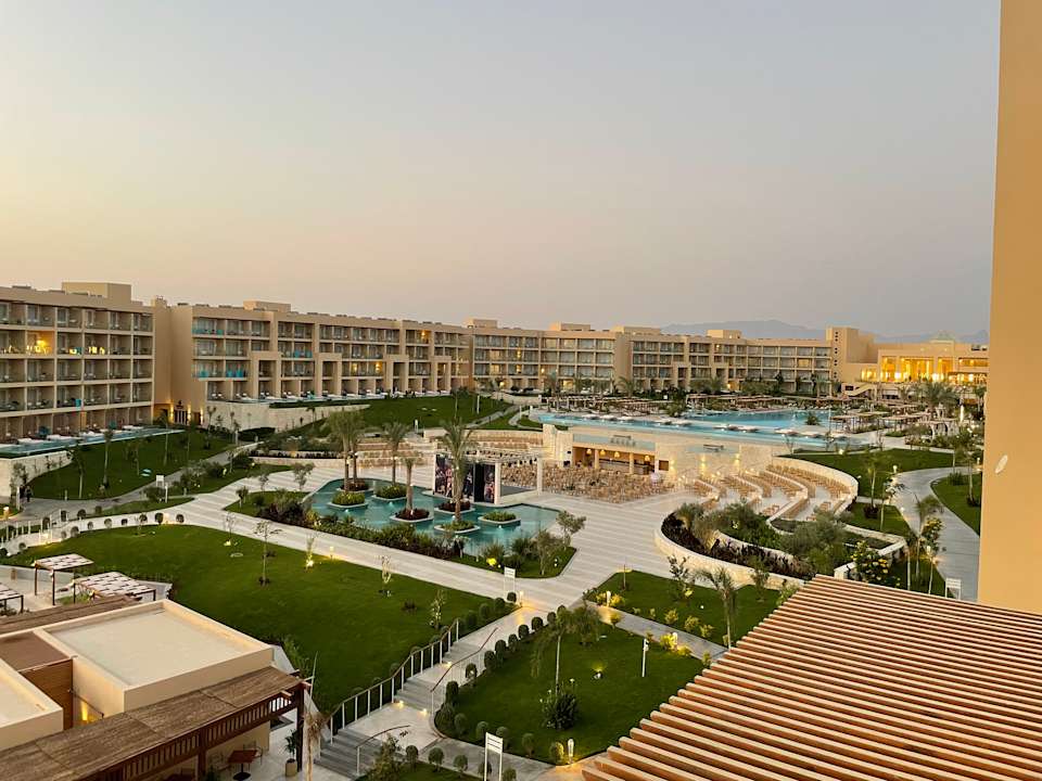 Zimmer JAZ Elite Asteria