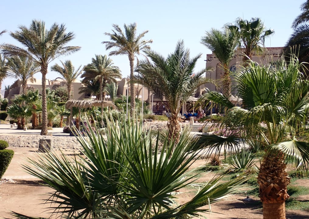Außenansicht Shams Alam Beach Resort