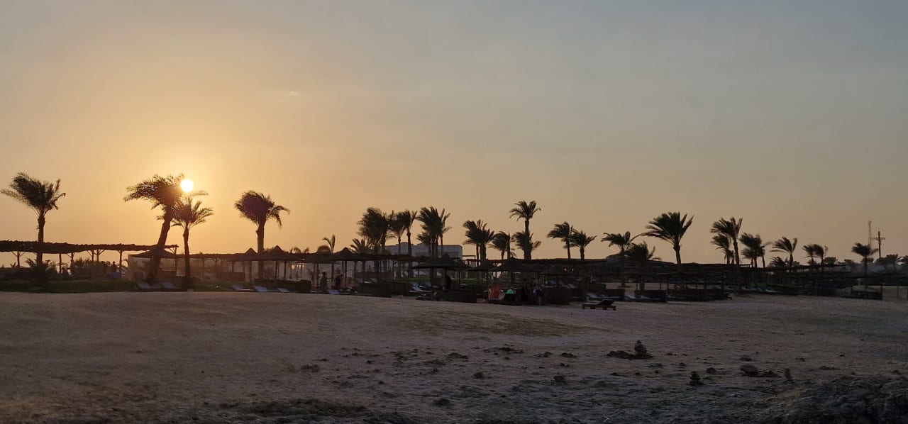 Strand Steigenberger Resort Alaya Marsa Alam - Red Sea - Adults only