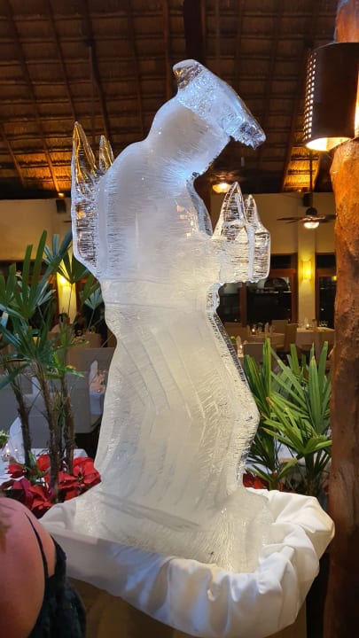 Gastro Akumal Bay Beach & Wellness Resort