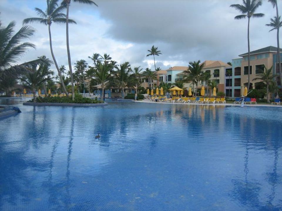 Yellow pool Ocean Blue & Sand