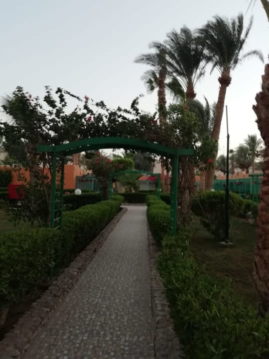 Gartenanlage Giftun Azur Resort