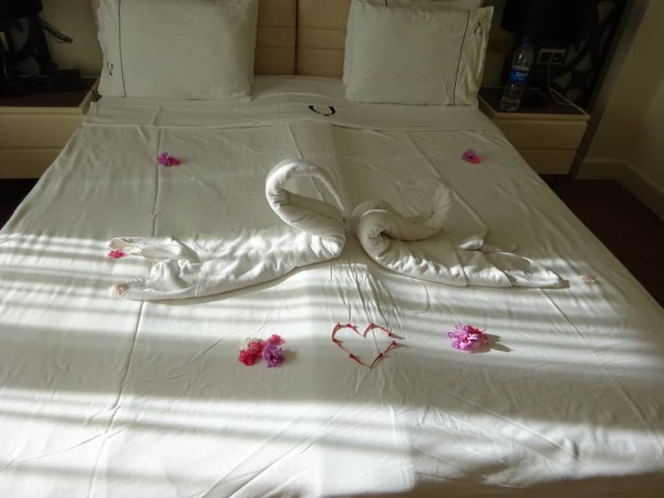 Ręczniki2 Asteria Venus Didim