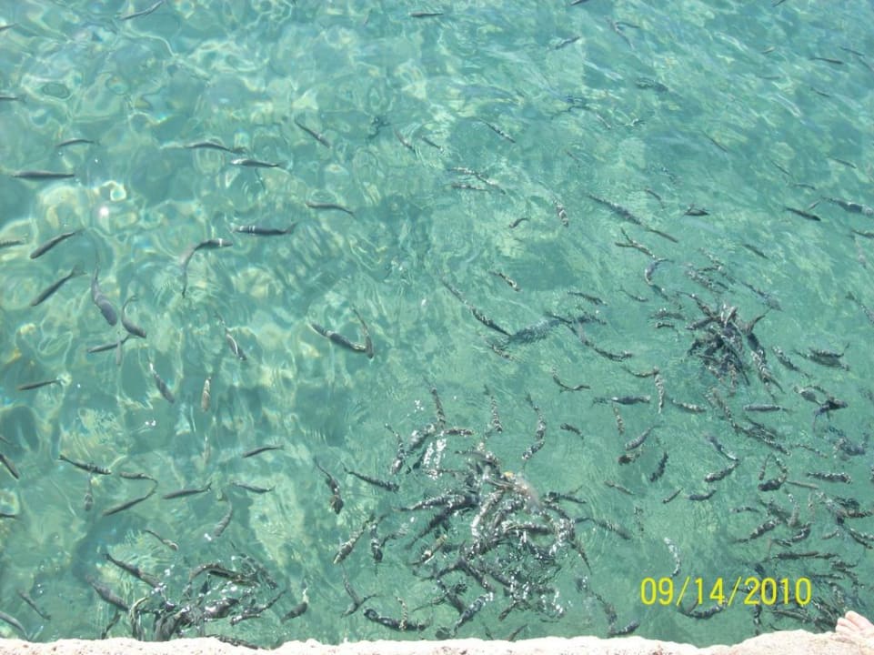 Klares Meerwasser Tusan Beach Resort