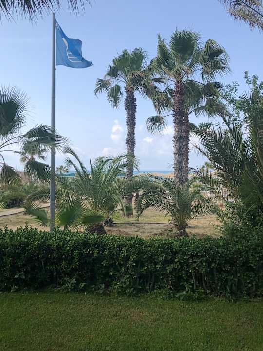 Strand Paloma Oceana