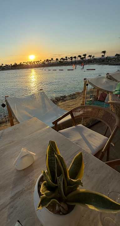 Ausblick Desert Rose