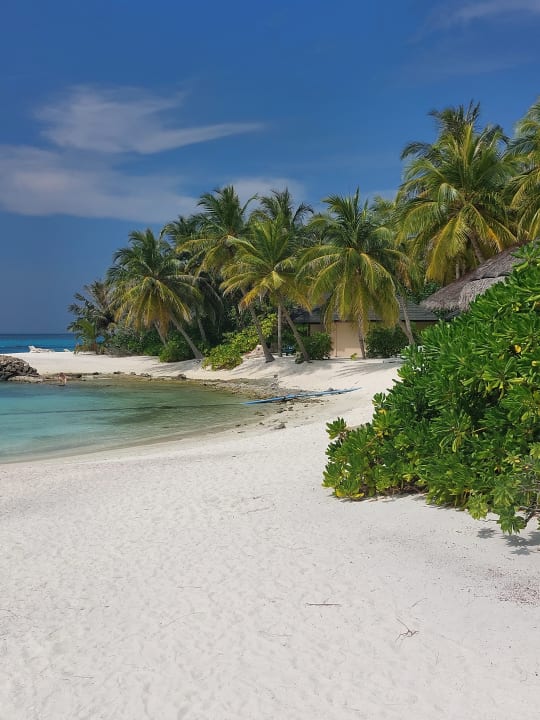 Ausblick Summer Island Maldives