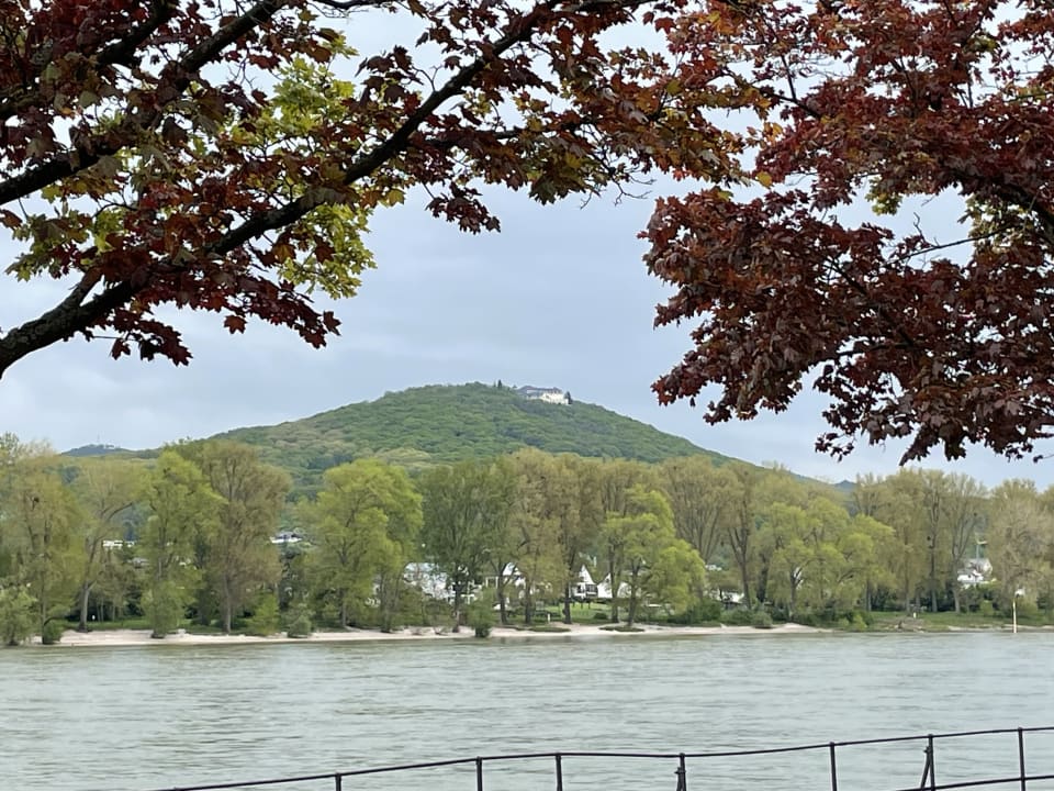 Ausblick Rheinhotel Dresen