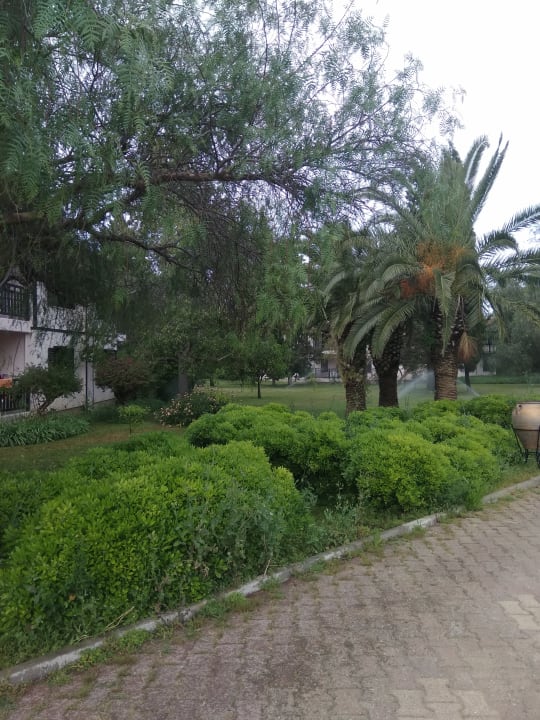 Gartenanlage Sunrise Resort Hotel