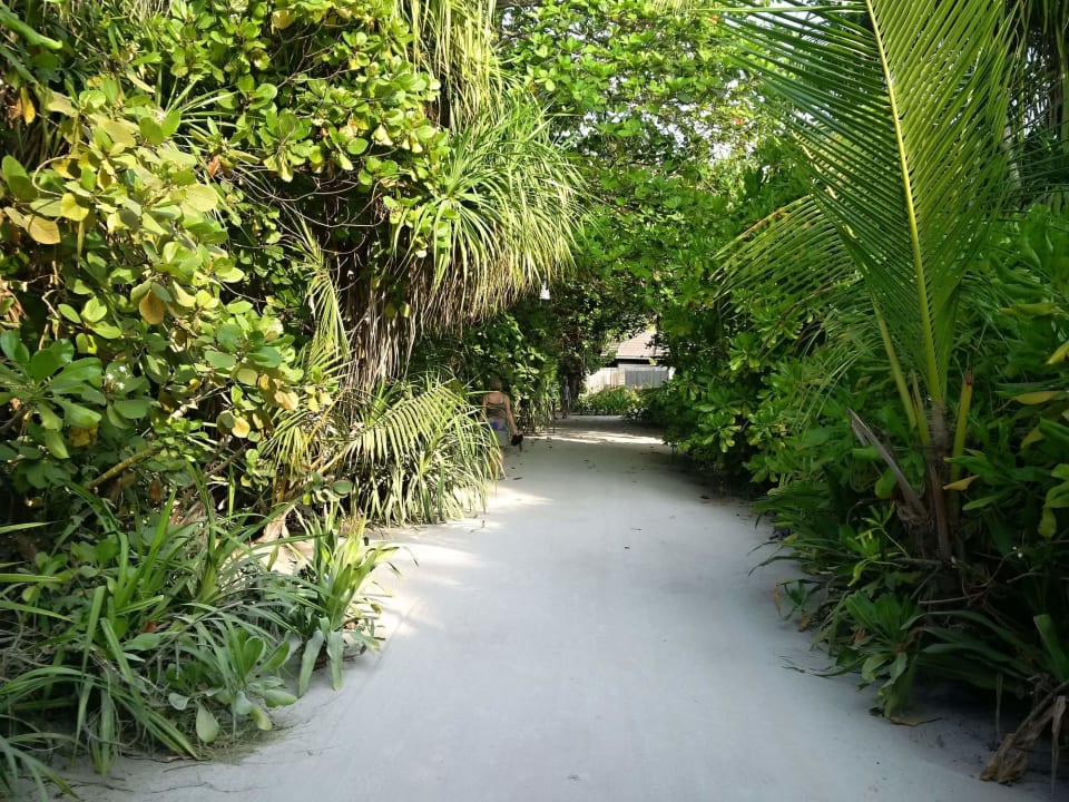 Gartenanlage Kuredu Island Resort & Spa
