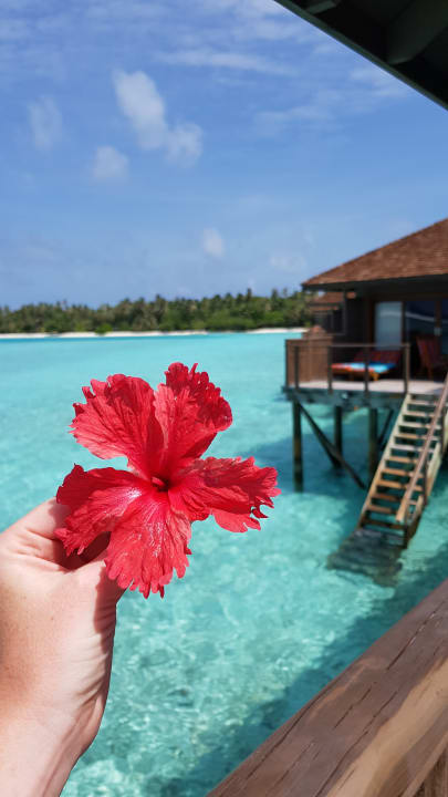 Zimmer Meeru Maldives Resort Island