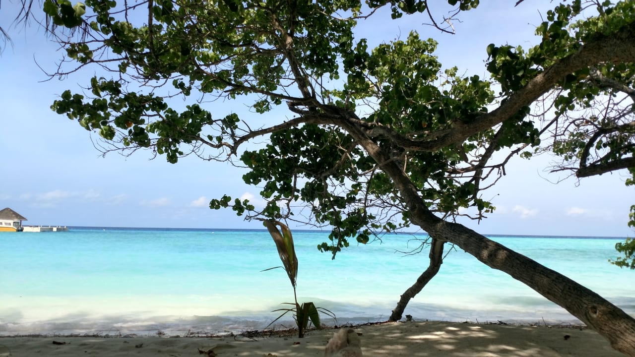 Strand Summer Island Maldives