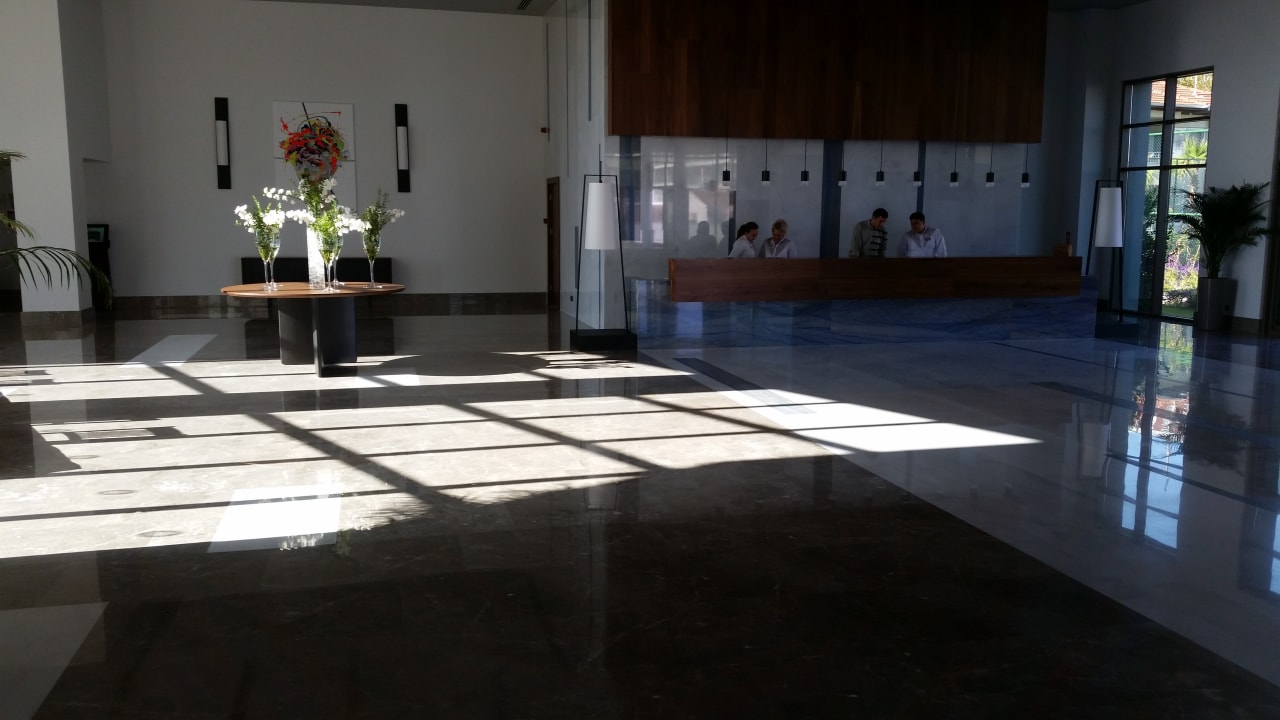 Lobby Acanthus Cennet Barut Collection