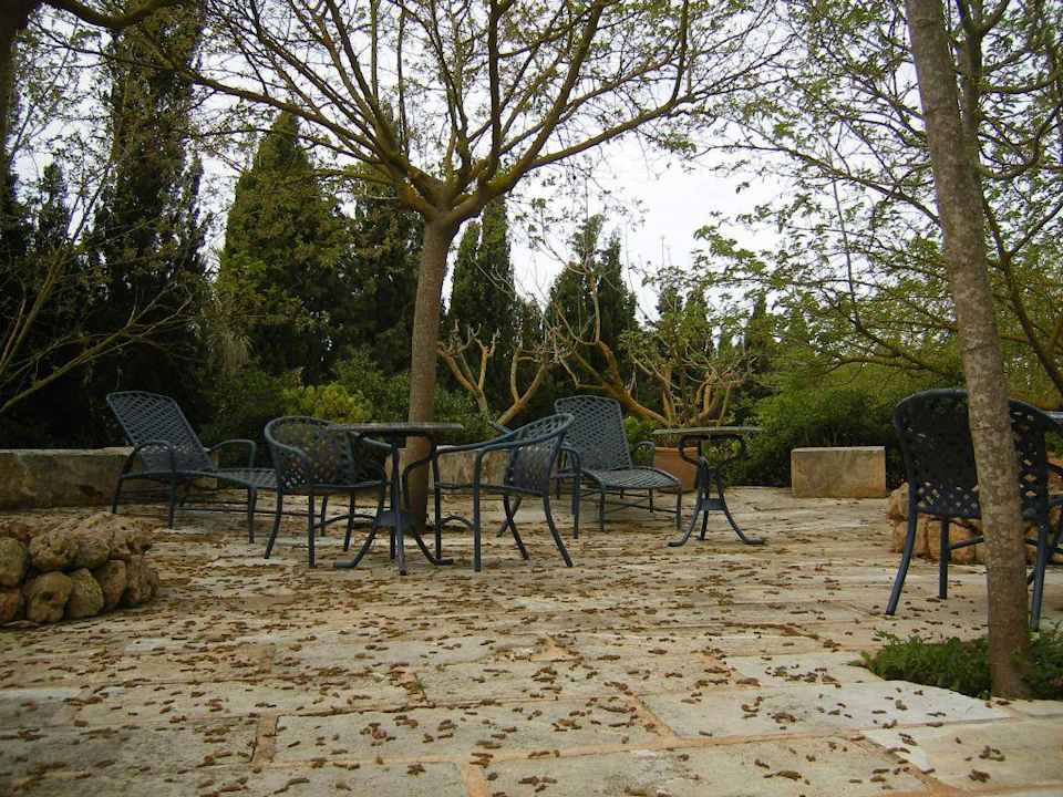 Garten Finca Es Palmer